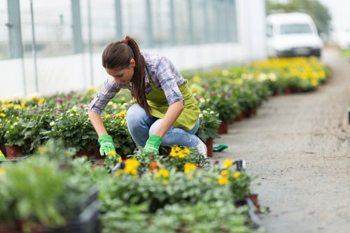 Complaint review process for a landscaping service