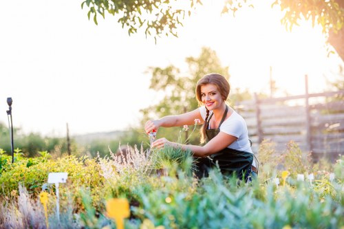 The image depicts a woman with dark hair tied back, wearing a light-colored t-shirt and a dark apron, tending to a flower bed in a well-maintained outdoor garden. The flower bed features a variety of plants, including flowering blooms with shades of purple, white, and green foliage, bordered by a neat edging. Behind her, there is a lush green lawn area with dense, healthy grass, and a wooden fence along the perimeter. The background includes tall trees with broad leaves, contributing to a shaded environment, and a clear, bright sky indicating sunny weather. To the left, there is a garden marker or label partially visible among the plants. The scene suggests a professional gardening setting typical of landscaped yards in St Johns Wood, with a focus on flower bed creation and outdoor maintenance, typical of landscaping services provided by companies like Landscapers St Johns Wood. The natural lighting highlights the vibrant colors of the plants, emphasizing the care and attention given to this outdoor space.