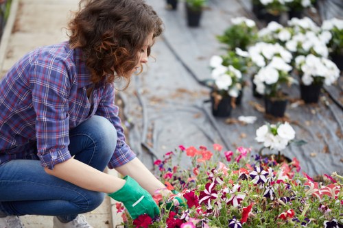 Professional landscaper working on a garden