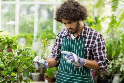 A young man with curly dark hair wearing a green and white striped gardening apron, gloves, and a checked shirt, carefully inspecting a branch with budding pink flowers in a lush greenhouse filled with various green plants, including ferns and potted shrubs. The greenhouse features glass walls allowing natural light to illuminate the vibrant greenery and natural tones of the plants. The background shows a densely packed arrangement of plants and garden containers, with a focus on the detailed textures of the plant leaves and flowering branches, indicating an environment dedicated to gardening and plant care in the St Johns Wood area. This scene suggests professional gardening or plant maintenance work carried out by Landscapers St Johns Wood, highlighting their expertise in outdoor and greenhouse plant care within a well-maintained garden space.