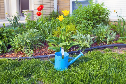 A well-maintained front garden features a vibrant green lawn with neatly trimmed grass occupying the foreground. Behind the lawn, there is a curved flower bed edged with black plastic trimming, containing a variety of flowering plants and shrubs. Bright red tulips and yellow daffodils are visible among lush, leafy green foliage, adding natural colour contrasts. At the centre of the garden, a blue plastic watering can is placed on the grass, suggesting ongoing gardening care. In the background, the exterior of a residential building with white cladding and a window can be seen, indicating a suburban setting. The garden appears to be in mild weather conditions, with natural daylight illuminating the plants clearly, supporting the outdoor maintenance and gardening activities typical of landscaped front gardens in St Johns Wood. Landscapers St Johns Wood provides professional gardening and landscaping services, including lawn care and plant maintenance, to keep outdoor spaces inviting and well-kept.