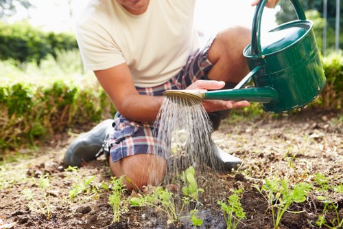 Variety of thriving plants selected for St Johns Wood