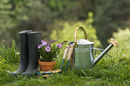 Professional garden clearance in St Johns Wood