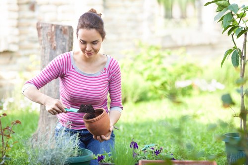 A woman in a pink and white striped long-sleeve shirt is gardening outdoors in a well-maintained backyard, holding a terracotta flower pot while planting soil into it. The garden features a neatly trimmed lawn with lush, green grass and a variety of potted plants and flowerbeds with purple and green foliage. In the background, there is a stone fence and some trees, indicating a private, landscaped outdoor space typical of residential gardens in St Johns Wood. The scene is illuminated by natural daylight, suggesting a clear, mild weather day. This setting highlights gardening activities associated with professional outdoor maintenance services offered by Landscapers St Johns Wood, emphasizing a tidy, organized garden environment with diverse planting areas, paving, and natural elements designed to enhance outdoor curb appeal.