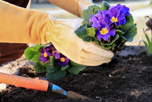 Seasonal lawn care tips for a healthy garden