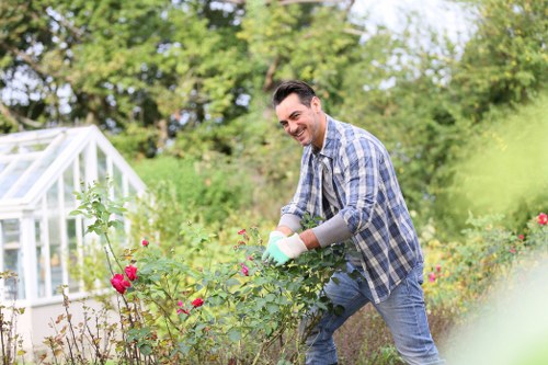 Clear and maintained garden space