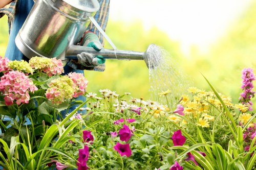 Eco-friendly landscaping practices in St Johns Wood