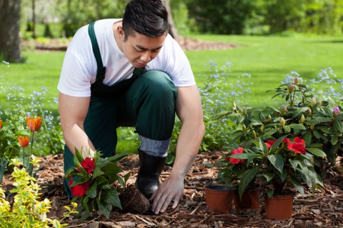A gardener, dressed in a white shirt and dark green overalls, is kneeling in a well-maintained garden bed during daytime, planting and tending to vibrant red and pink flowering plants. The garden features lush, green grass in the background, with neatly arranged flower beds bordered by mulch, along with at least two small terracotta pots. Tall trees and shrubbery provide a natural backdrop, indicating a spacious outdoor environment. The scene is illuminated by natural daylight, with soft shadows suggesting a partly cloudy sky, emphasizing the healthy appearance of the garden's plants and the gardener's attentive care. This scene exemplifies professional gardening work that might be offered by Landscapers St Johns Wood, contributing to a tidy, colorful outdoor space in an area around postcode NW3, supporting local residential or commercial landscaping services focusing on planting and garden maintenance.