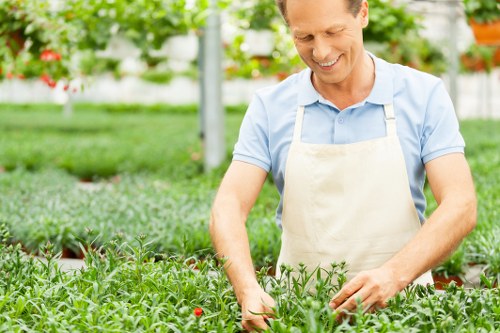 A man in a light blue shirt and beige apron is working in a well-maintained garden with lush green grass, neatly trimmed hedges, and a variety of plants. In the foreground, there are small shrubs and flowering plants with red and pink blossoms, arranged along the edge of a paved patio area. Behind him, the garden features a dense hedge border, providing privacy, and several mature trees in the background, offering shade and natural scenery. The scene is lit by natural daylight, suggesting a clear, sunny day suitable for outdoor gardening activities. This outdoor space demonstrates the sophisticated landscaping and lawn care that Landscapers St Johns Wood offers, highlighting quality garden design, planting, and maintenance services in the local area near postcode NW8, serving the St Johns Wood community. The garden layout combines cultivated flower beds, trimmed greenery, and paved surfaces that create an inviting outdoor environment for residents seeking professional gardening and landscaping support.