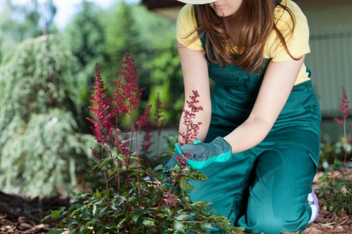 Eco-friendly lawn maintenance practices