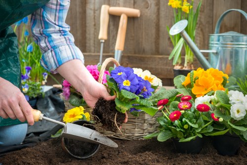 A gardener's hand is shown planting a vibrant purple primula flower into dark, rich soil in a garden setting. Surrounding the planting area, there are various freshly potted flowering plants, including yellow pansies, red and pink primulas, and other spring blooms, arranged on the edges of a garden bed. In the background, a wooden garden fence provides a natural enclosure, with gardening tools such as a small trowel and watering can resting nearby. The scene is outdoors, under natural daylight, with an overall impression of careful planting and garden maintenance typical of a well-kept outdoor space in St Johns Wood. The aerial view captures the diverse plantings and a sense of ongoing garden care, reflecting the services of professional landscaping and gardening specialists like Landscapers St Johns Wood that support local gardening needs.
