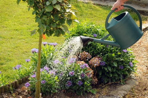 An outdoor garden scene showing a neatly maintained lawn with lush green grass in the foreground, bordered by flower beds filled with purple and pink flowering plants, including hydrangeas and possibly lavender. A small tree with a slender trunk and dense green foliage is positioned on the left side of the image, with a border of wooden edging surrounding the flower beds. In the background, a paved pathway or patio area is partially visible, with natural sunlight illuminating the scene and casting soft shadows. The garden appears well-kept, reflecting professional landscaping work, with tidy plant arrangements and healthy foliage. A watering can is held by a person watering the plants, demonstrating garden care activities common to landscaping services like those offered by Landscapers St Johns Wood, in a typical UK suburban outdoor space near NW8 postcode.