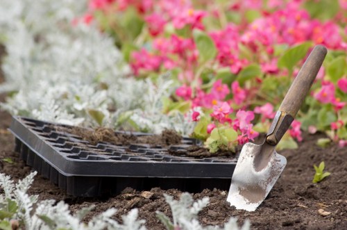 Garden tools arranged neatly for maintenance