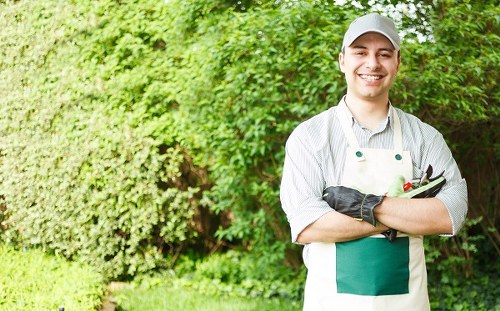 A professional gardener stands in a well-maintained backyard garden, which features a lush, dense hedge of green foliage along one side and a neatly trimmed lawn with vibrant grass in the foreground. Behind the gardener, there are small shrubs and a variety of trees, creating a layered landscape with natural tones of green and brown. The garden surface includes a combination of grass and soil, with sections of paving or decking visible in the background, indicating a landscaped outdoor space by landscapersstjohnswood.co.uk. The environment is brightly lit, suggesting a clear, mild weather day, enhancing the lively and healthy appearance of the garden. The gardener, dressed in a grey cap and striped work shirt, is smiling professionally and holding gardening tools, reflecting maintenance and gardening services appropriate for a residential outdoor area in St John's Wood, London. This detailed description emphasizes the garden's structural layout, natural elements, and landscape features, aligning with high-quality gardening and landscaping services offered in the local area.