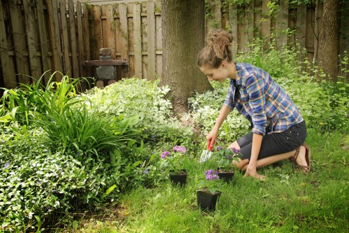 A young woman in a blue plaid shirt and dark jeans kneels on a well-maintained, lush green lawn in a residential garden in St John's Wood, London. She is actively watering small potted flowering plants with purple blooms, positioned near a mature tree with a textured trunk. The garden features a variety of plants, including dense green shrubs and flowering bushes, bordered by a wooden fence typical of London gardens. In the background, there is a small garden feature, possibly a barbecue or outdoor storage, partially obscured by foliage. The scene is set during daylight with natural light filtering through the trees, creating a peaceful outdoor environment that highlights gardening activities and landscaping elements consistent with professional gardening services in North West London. The overall setting emphasizes well-kept lawn care, planting, and outdoor maintenance typical for a private garden space in the area served by Landscapers St Johns Wood.