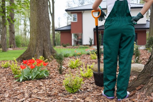 A gardener in green overalls is shown standing in a well-maintained front garden in St John's Wood, London, holding a garden trowel with an orange handle. The garden features a neatly mulched flower bed with vibrant red tulips and small, leafy shrubs arranged around a mature tree with a textured trunk. In the background, there is a modern brick house with large windows and a dark roof, surrounded by lush green grass and additional garden plants. The environment appears to be outdoors on a clear day, with natural light illuminating the scene. The layout includes a mix of lawn, flower beds, and paved paths, reflecting professional landscaping typical of residential outdoor spaces in London suburbs. This image highlights a gardening activity commonly provided by local landscapers in St John's Wood, emphasizing outdoor garden maintenance and plant care.