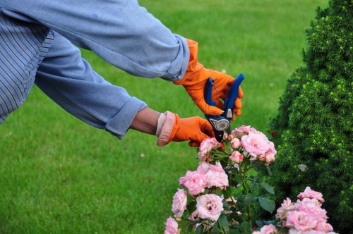Sustainable landscaping practices