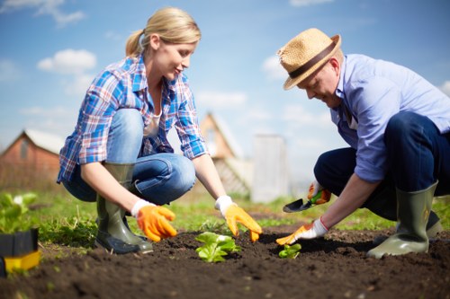Custom garden design plans