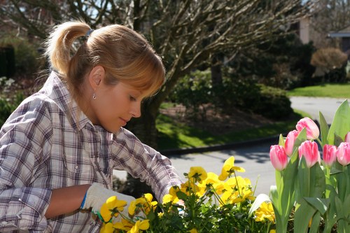 A woman with blonde hair tied back in a ponytail is tending to a flower bed in a residential garden, planting or watering yellow and pink tulips with green foliage. The garden features a well-maintained lawn, and a paved pathway runs nearby, bordered by flower beds containing tulips and other plants. In the background, there are leafless trees and shrubs, suggesting early spring or late winter. The environment appears bright and sunny, with natural lighting illuminating the scene, highlighting the vibrant colours of the flowers and greenery. This outdoor space showcases elements typical of a landscaped garden in St John's Wood, with a mix of flowering plants, lawn surfaces, and paved walkways, reflecting professional gardening and landscaping care by Landscapers St Johns Wood, supporting outdoor maintenance and horticultural services in the local area.