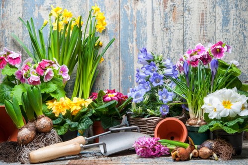 A close-up image of a variety of potted flowering plants arranged on a rustic wooden surface, including yellow daffodils, pink and purple primroses, and white violets, with their vibrant colors contrasting against a weathered blue wooden background. Gardening tools such as a small hand trowel and a cultivator are placed among the pots, alongside bulbs and soil, indicating preparation for planting or outdoor garden maintenance. The scene reflects a well-maintained garden space suitable for seasonal planting and outdoor decor, aligned with gardening and landscape services offered by Landscapers St Johns Wood within the local area near NW3. The natural light emphasizes the fresh, lively appearance of the plants, highlighting both horticultural care and outdoor beautification efforts typical of professional gardening services in the region.